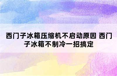 西门子冰箱压缩机不启动原因 西门子冰箱不制冷一招搞定